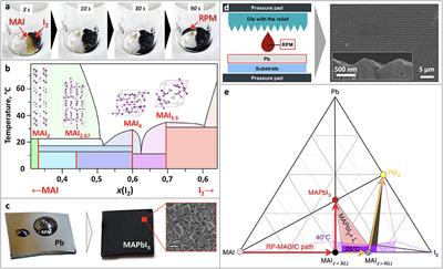 Methylammonium Polyiodides in Perovskite Photovoltaics: From Fundamentals to Applications